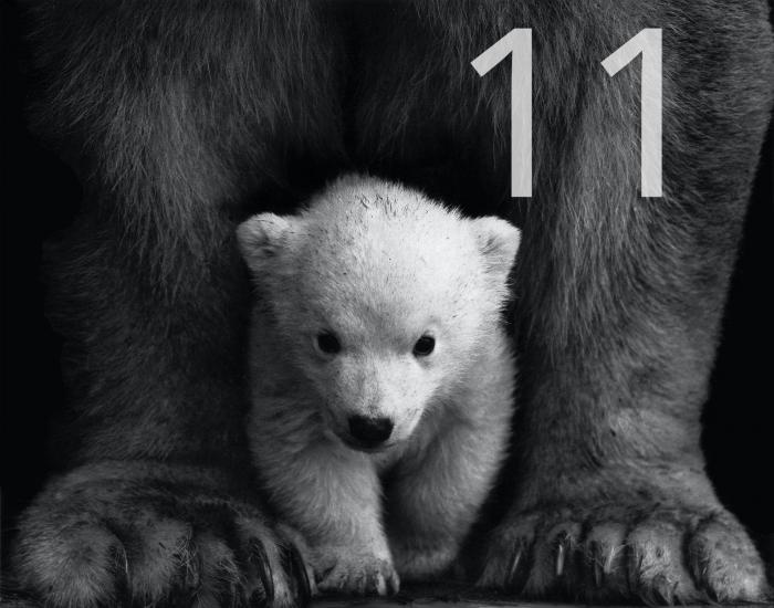 numerology number 11