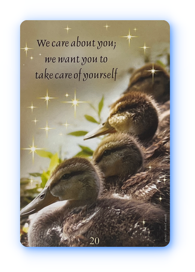 free angel card