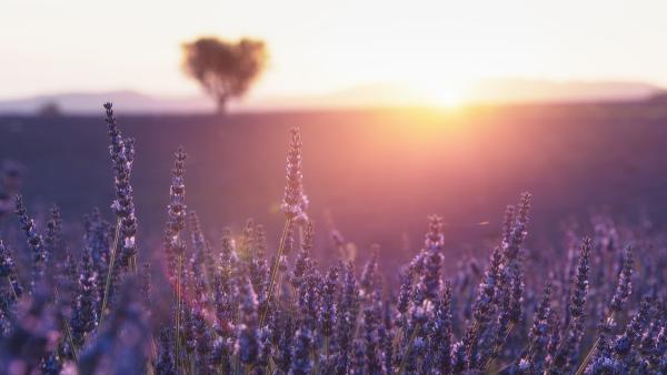 Work as a psychic, medium or spiritual advisor at ChatSpiritual