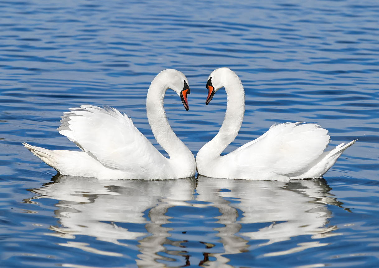 the meaning of angel number 111 in twin flame connections